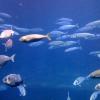 iPhone_0101