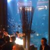 iPhone_0103