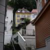 IMG_2916