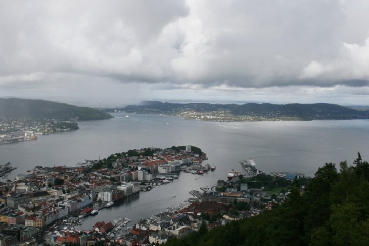 IMG_2943 IMG_2943