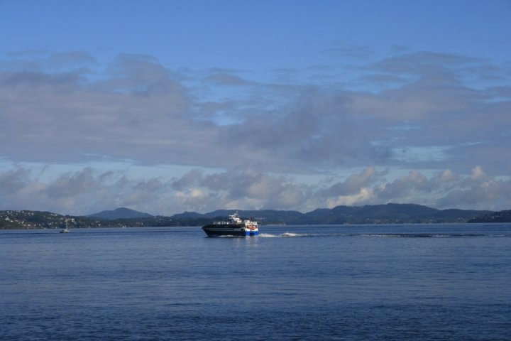 IMG_3022 IMG_3022