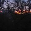 DSC05238