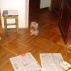 DSC06606